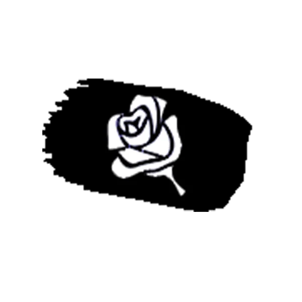 White Rose Painting